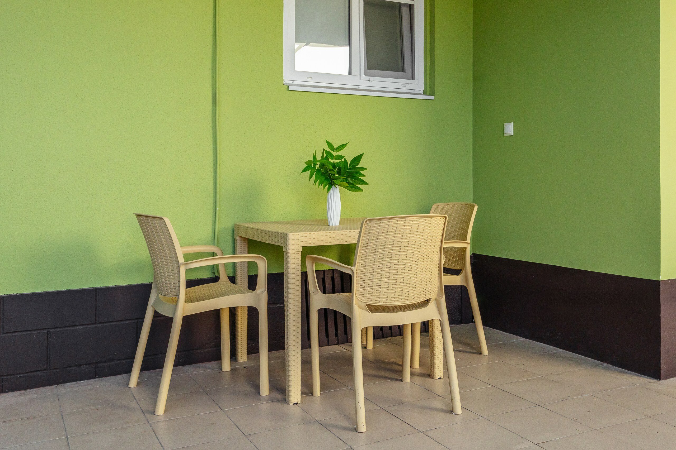 Фото Морель