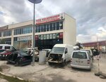 Reis Volkswagen Original Spare Parts (Ankara Province, Yenimahalle, Ostim OSB Mah., 1140. Sok., 24), tienda de repuestos y artículos para automóviles