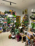 Цветочный Мир (Kamsamolskaja Street, 9), flower shop