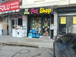 North Pet Shop (İstanbul, Esenler, Çinçindere Cad., 78B), pet shop