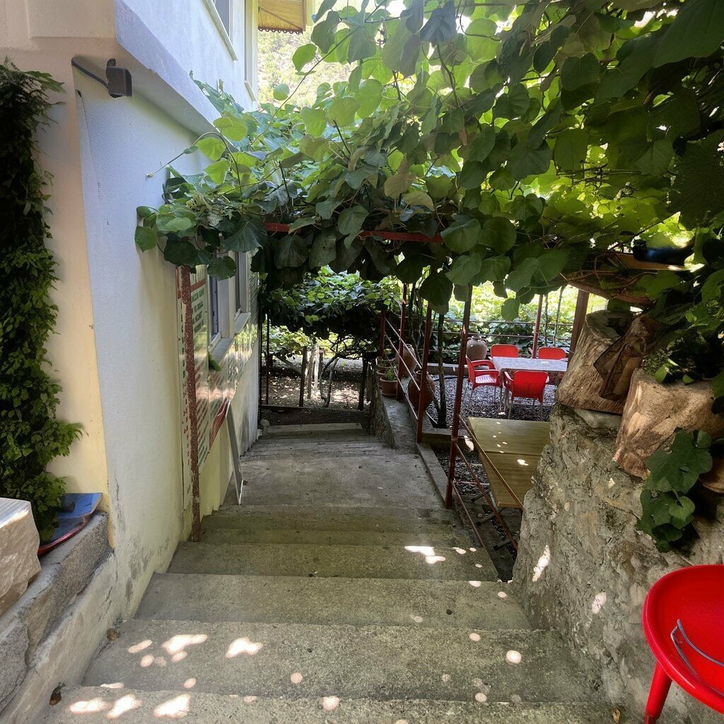Кафе Kiwi Park Yagmur Evleri, Газипаша, фото