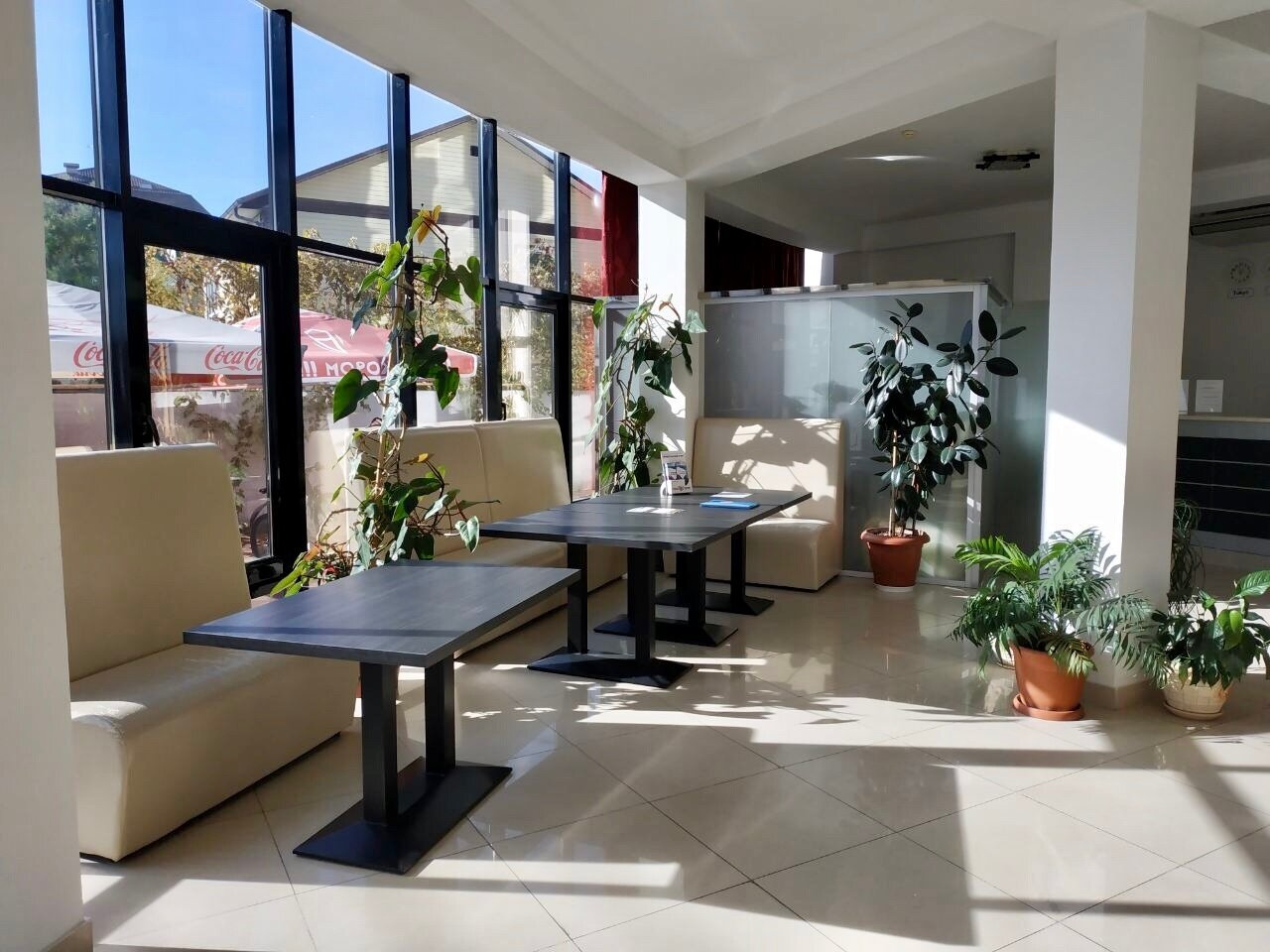 Фото Аквариум