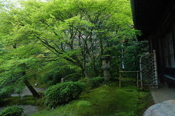 Фото Meisho Sansuien - Yuda Onsen -