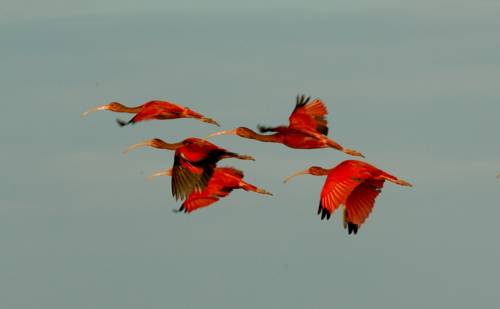 Фото Pousada Jagata