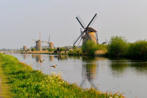 Фото Van der Valk Hotel Ara Zwijndrecht
