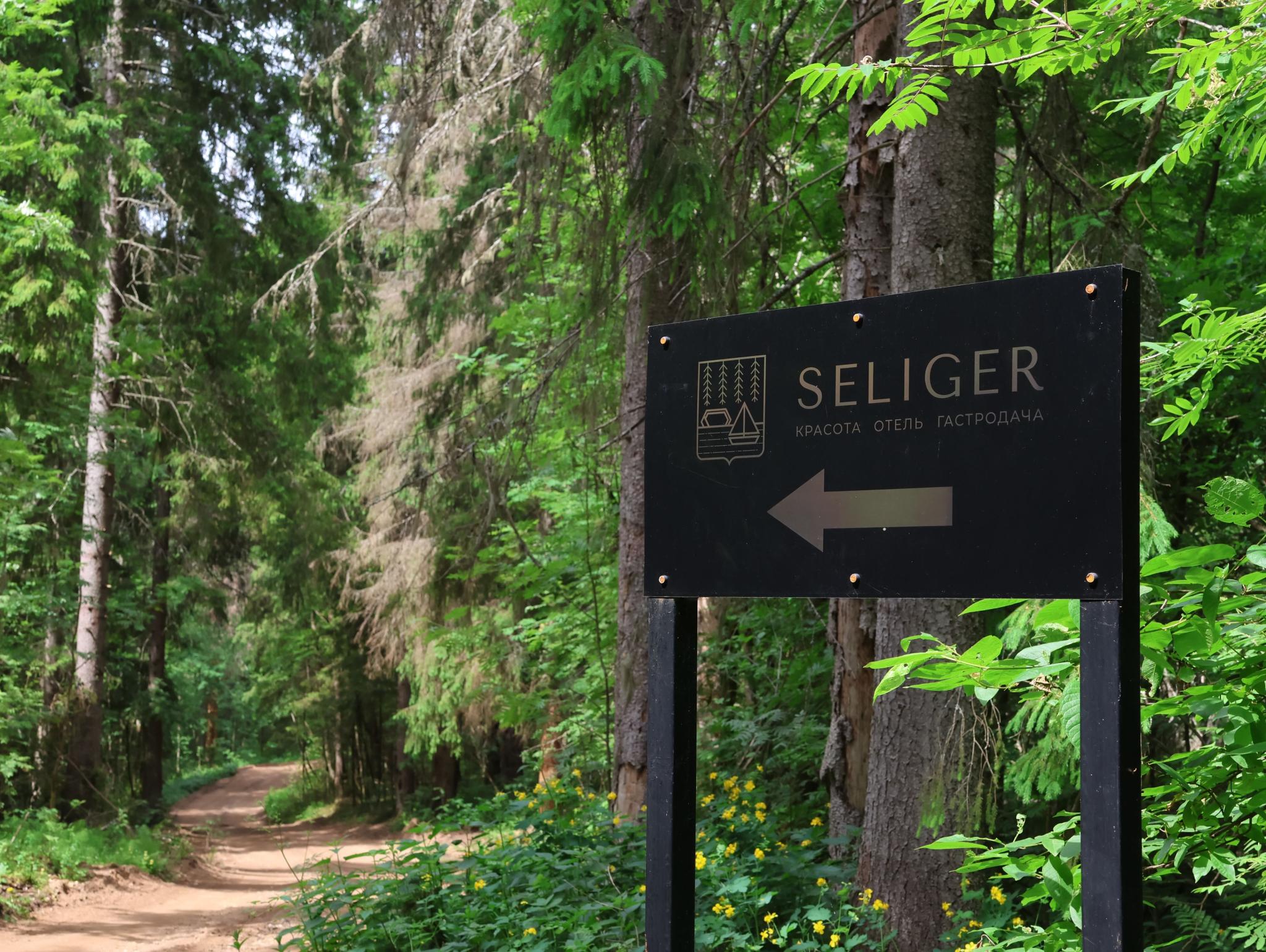 Фото Селигер клуб