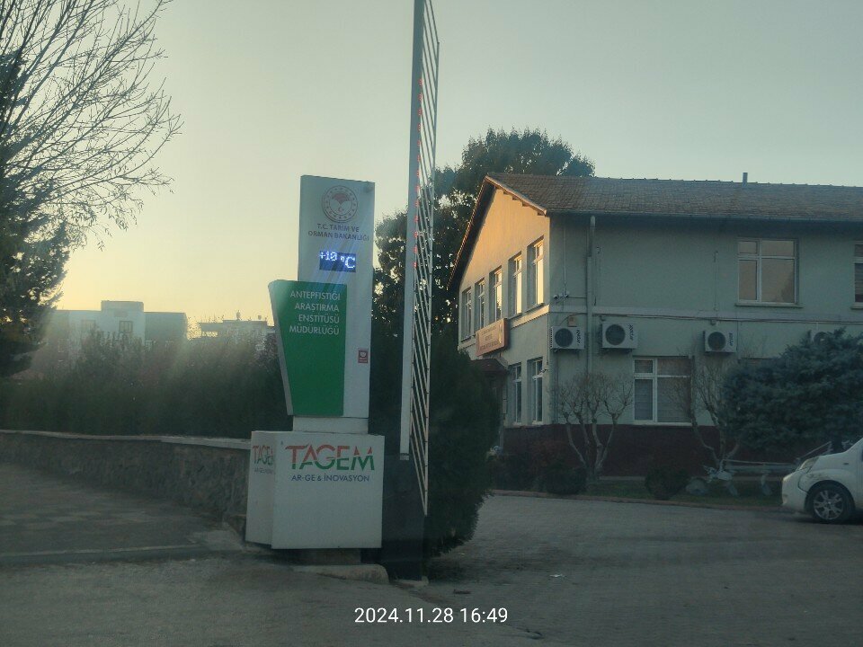 Government ministries, services Pistachio Research Institute, Gaziantep, photo