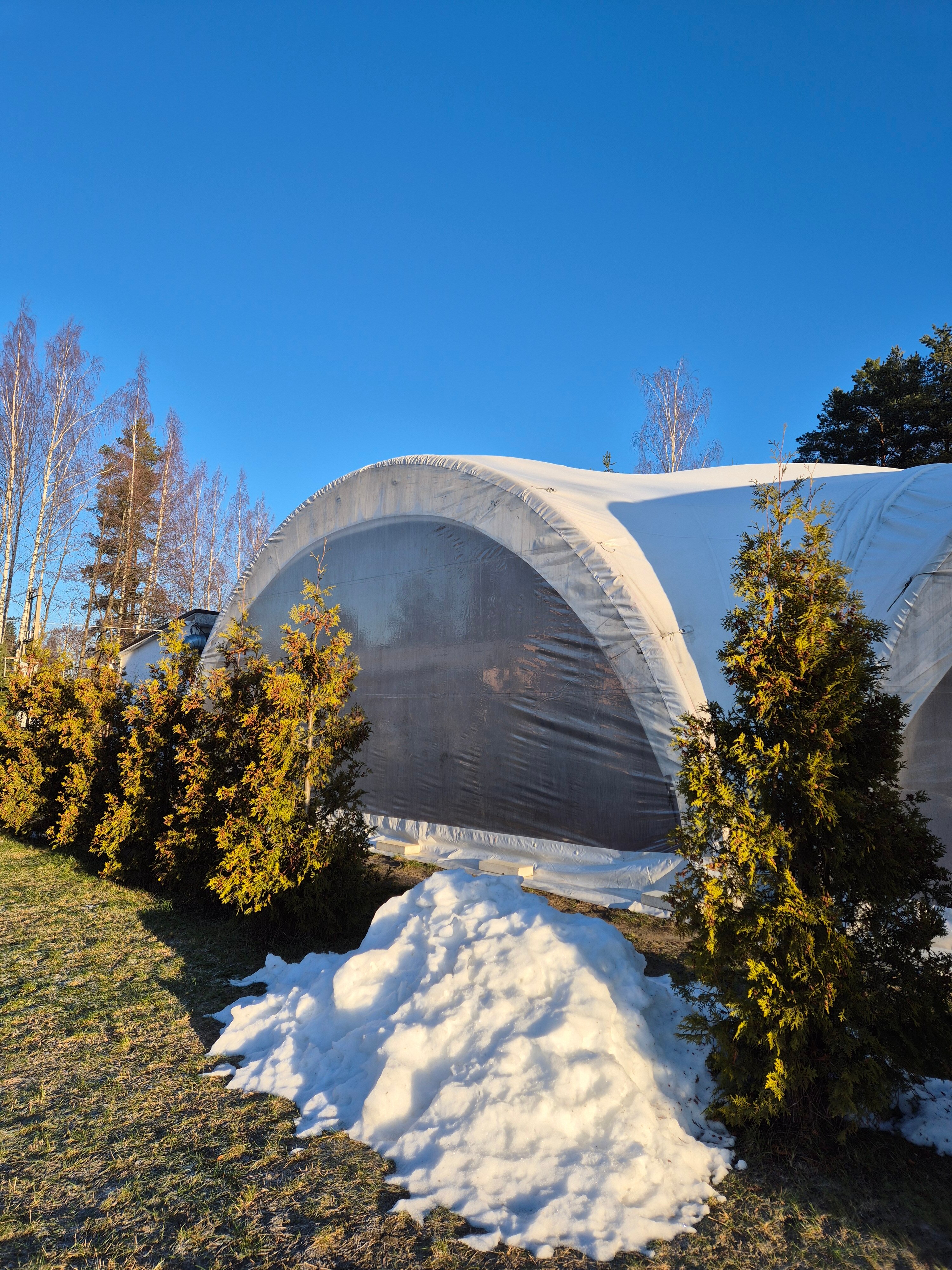 Фото Пикник