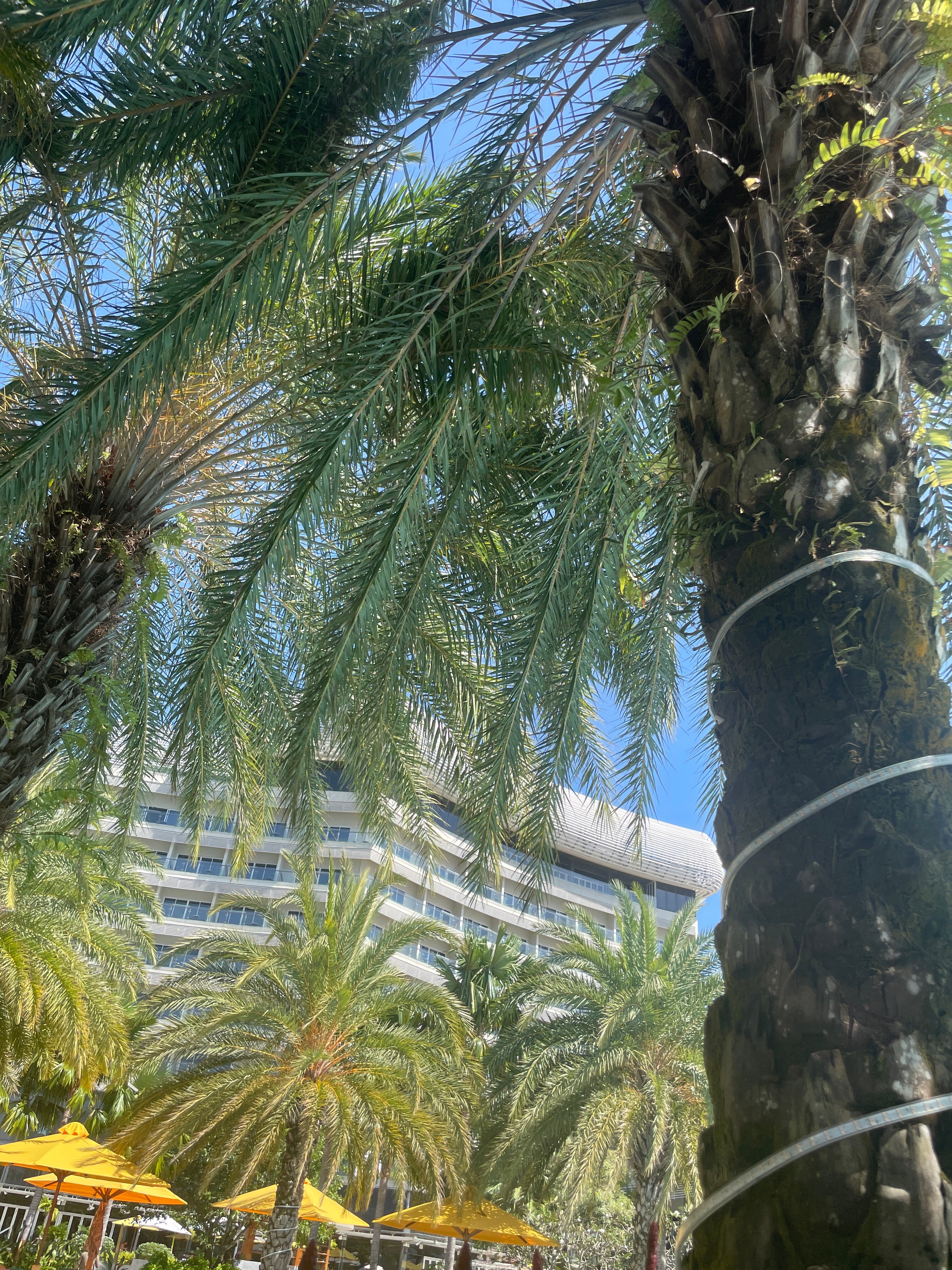 Фото Pullman Phu Quoc Beach Resort