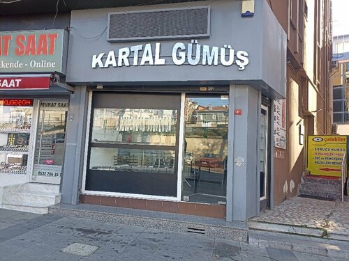 Kartal Gümüş Fotoğraf 1