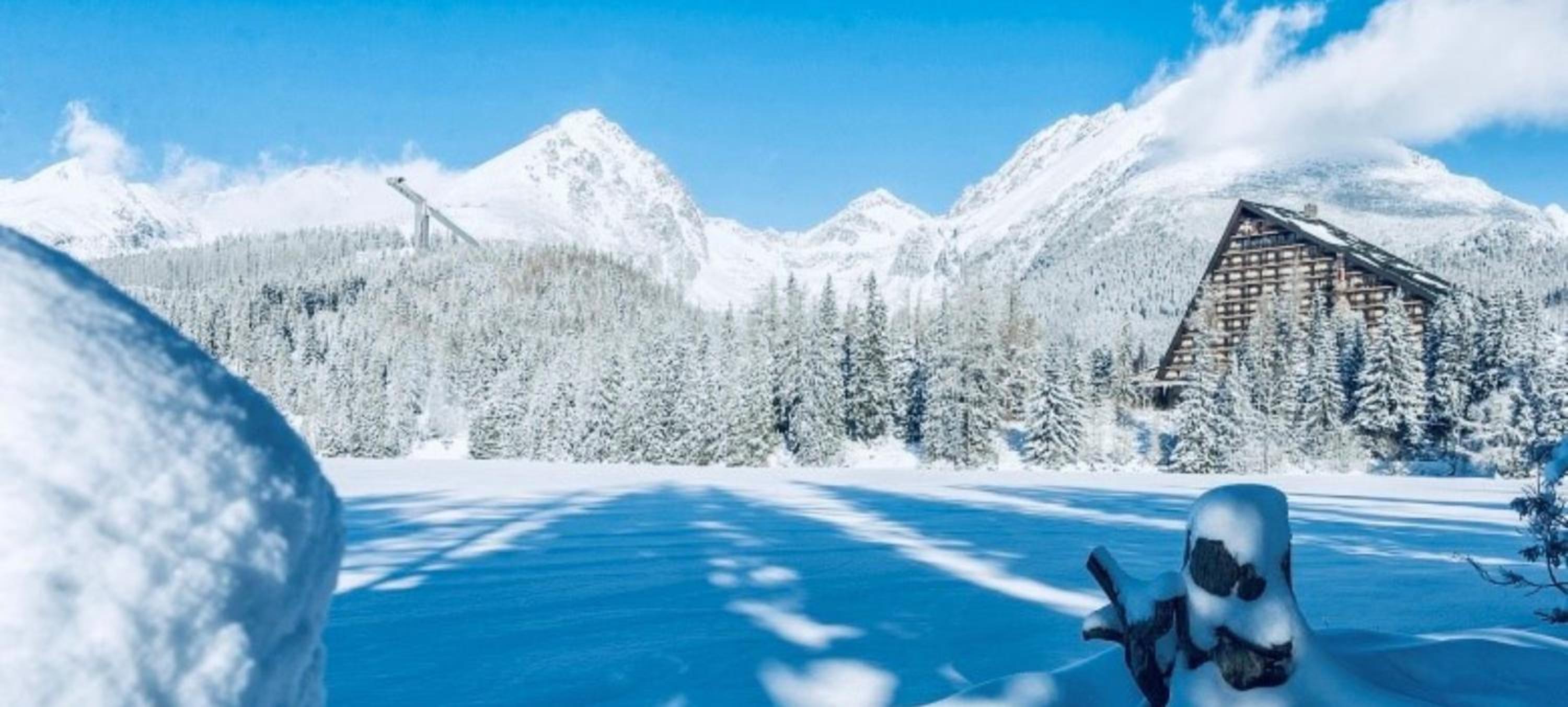 Фото Hotel Crocus