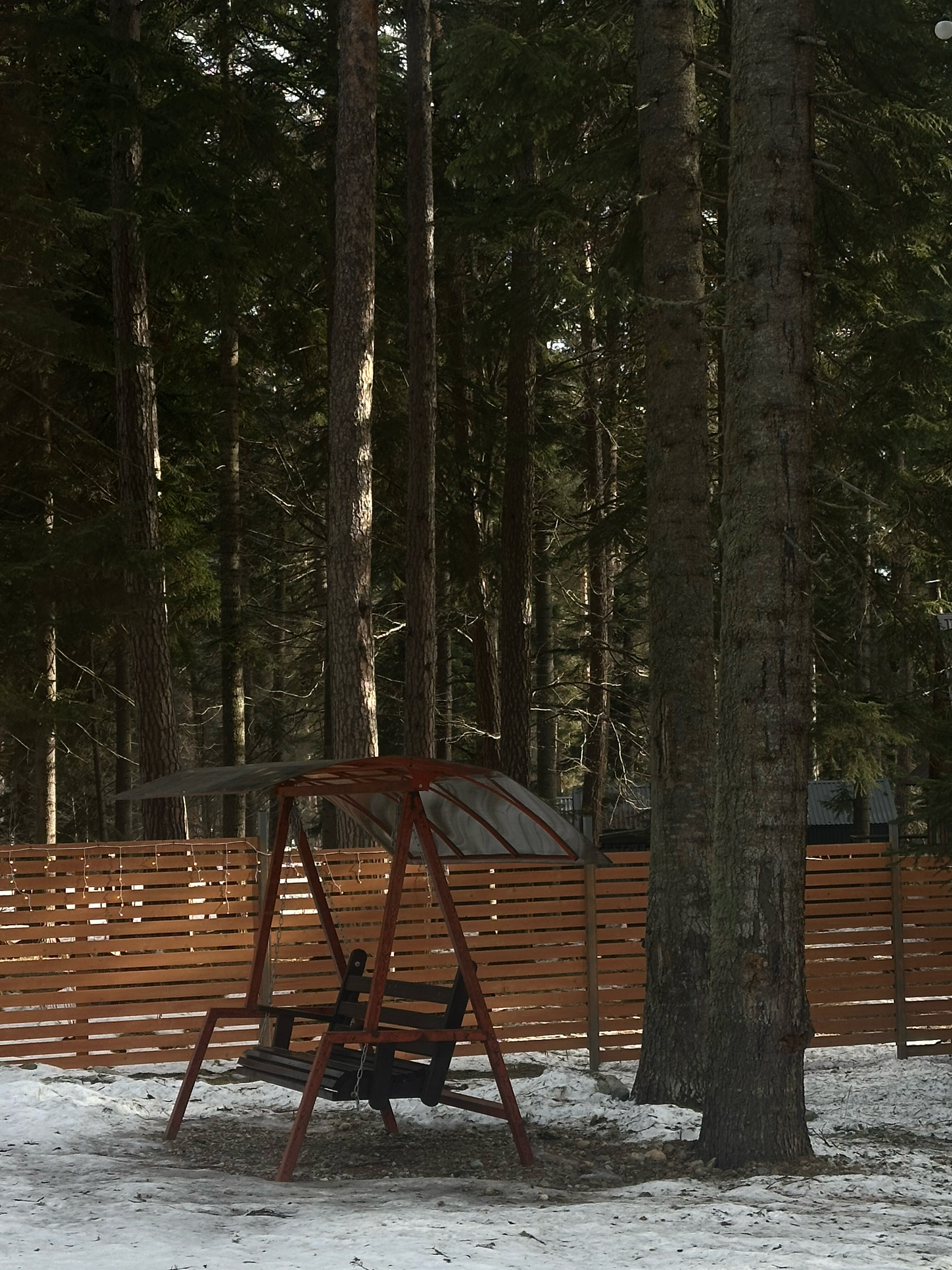 Фото Пихтовый парк