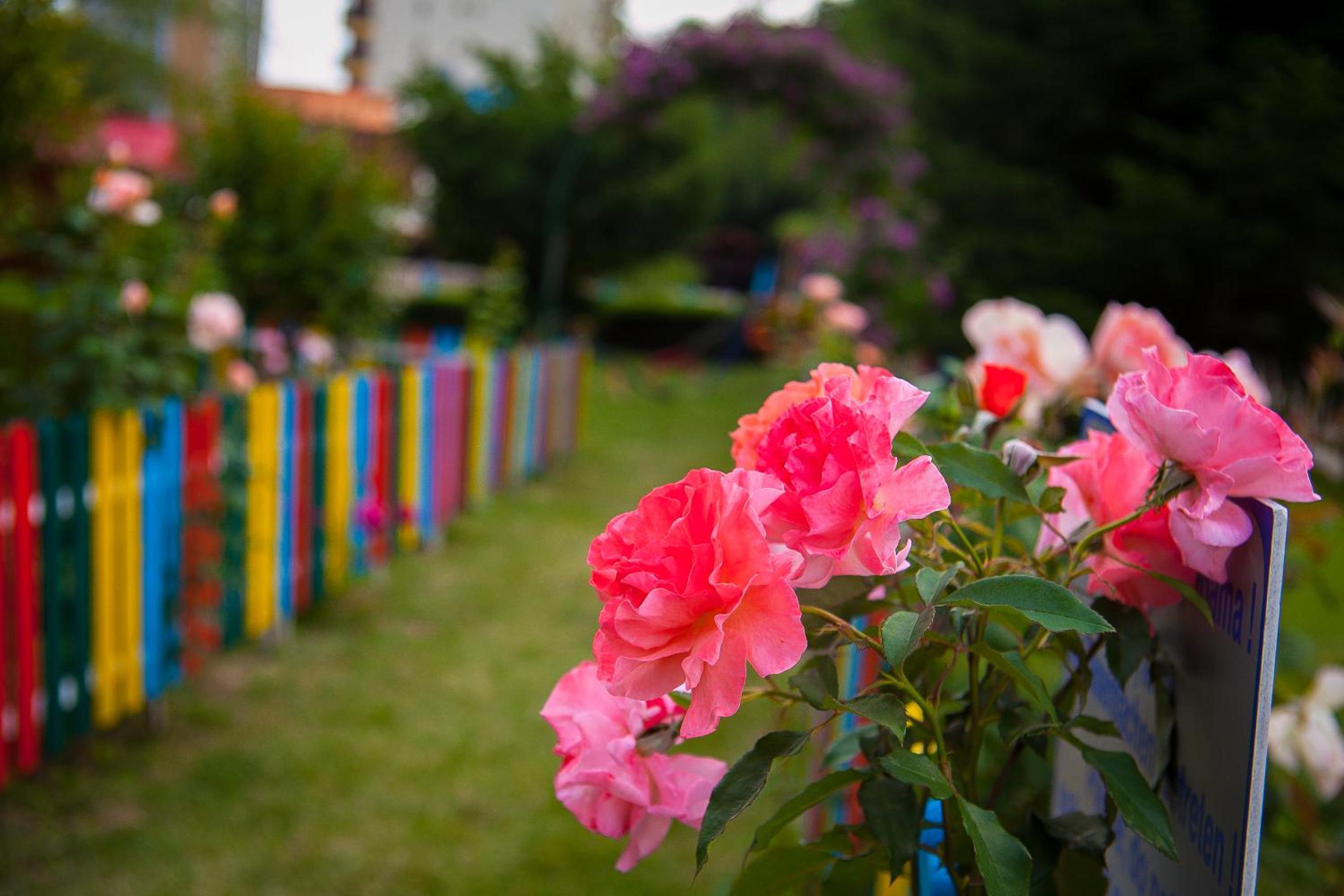 Фото Park Hotel Perla