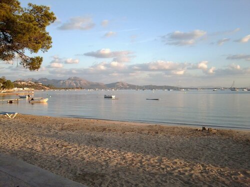 Апартаменты Apartamentos Llevant Puerto de Pollensa