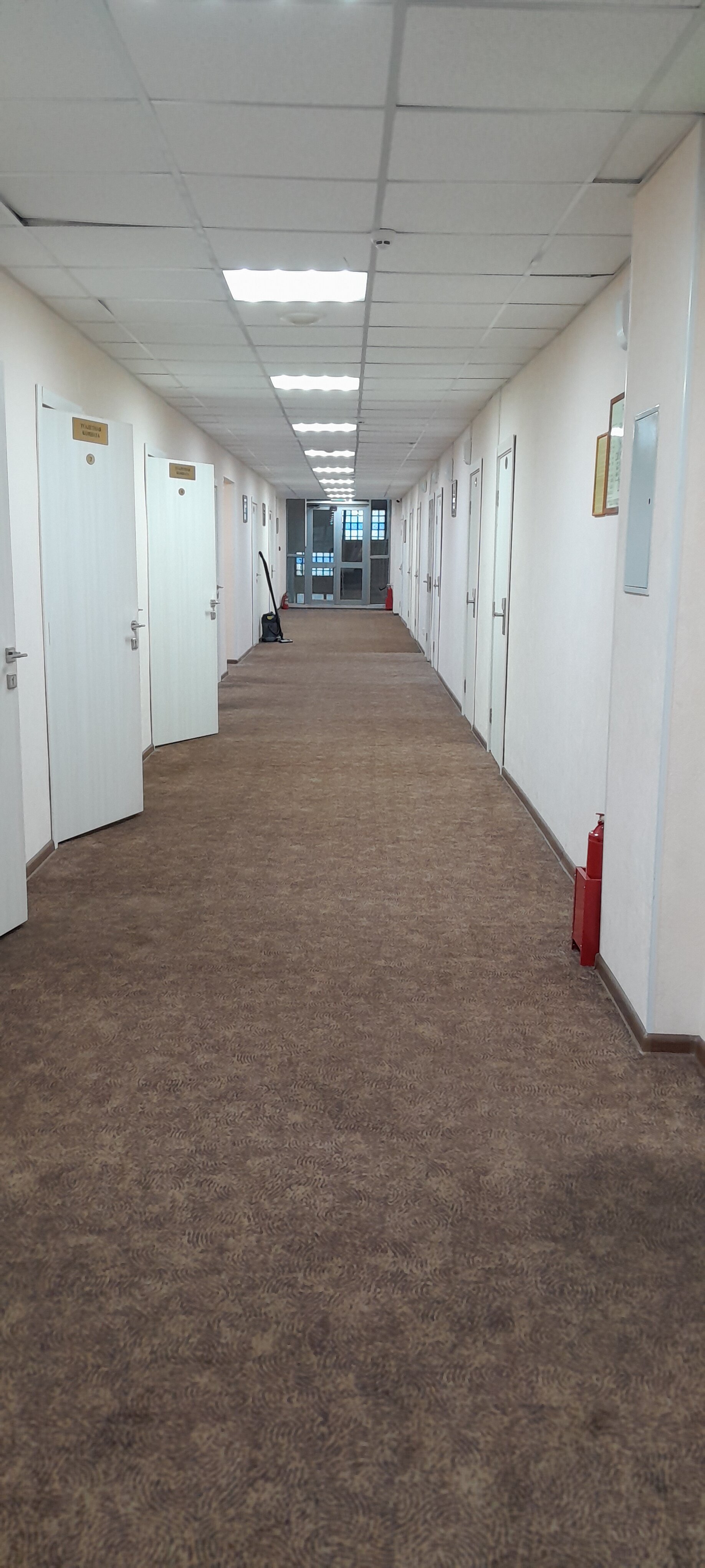 Фото Центральная Вертикаль