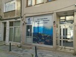Ocean Fishers Pet Shop (Istanbul, Kadikoy, Rasimpasa Neighborhood, Iskele Street, 80) ، متجر للحيوانات الأليفة