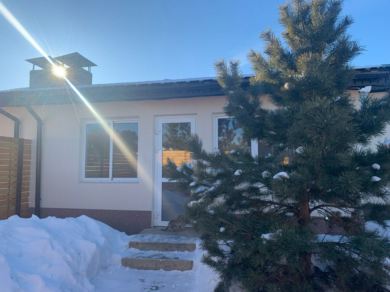 Фото Совушка