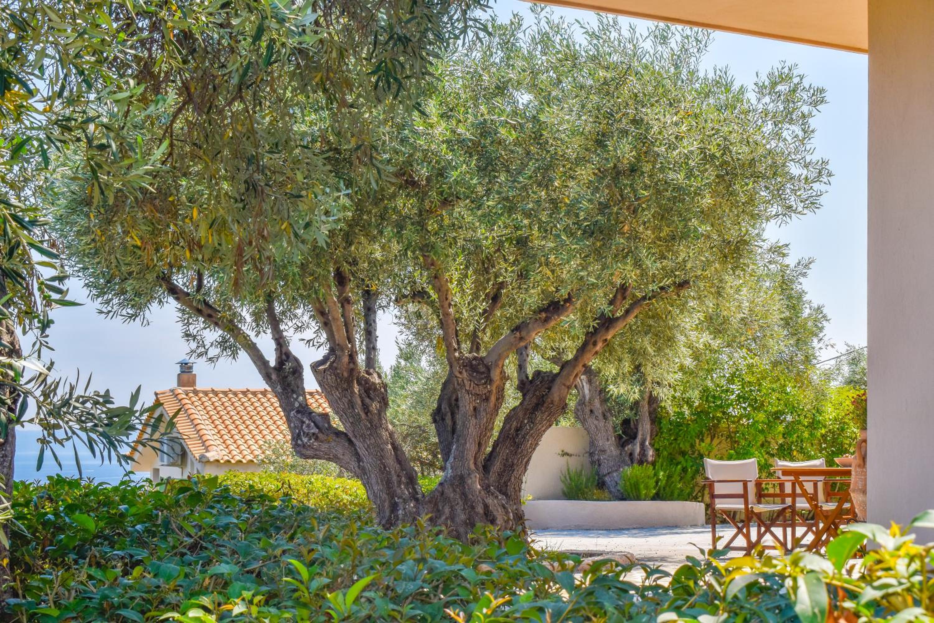 Фото Villa L&m Skiathos