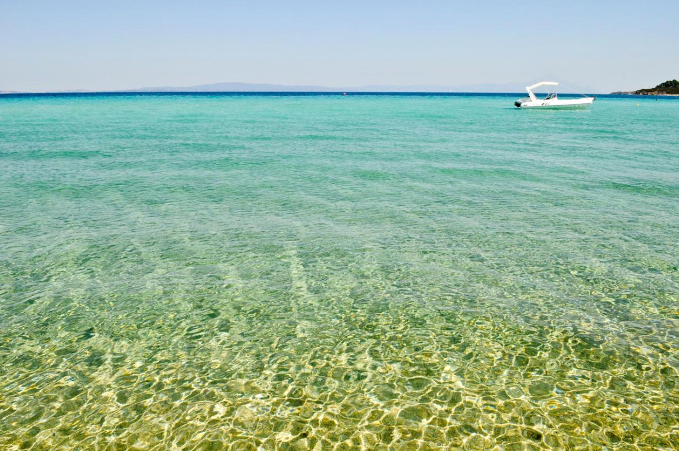 Фото Fillis House