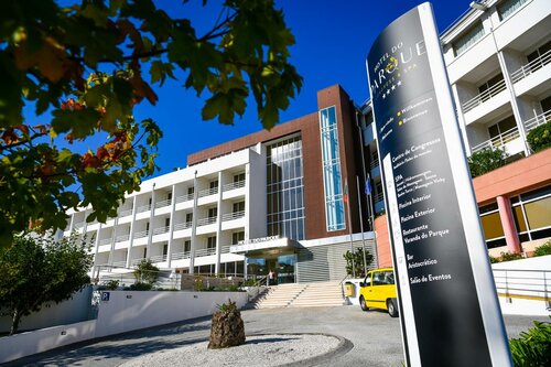 Гостиница Hotel Do Parque - Congress & SPA в Округе Визеу