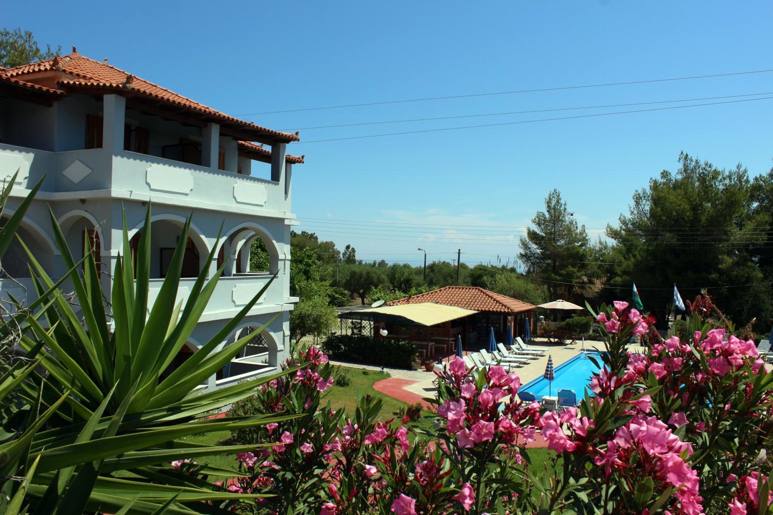 Фото Zante Yliessa