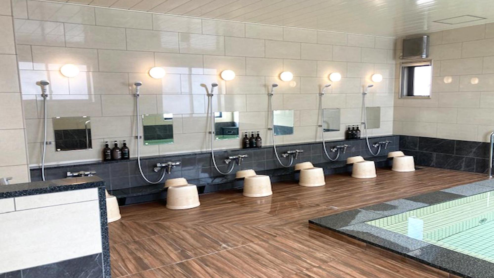 Фото Sabae Dai-ichi Hotel