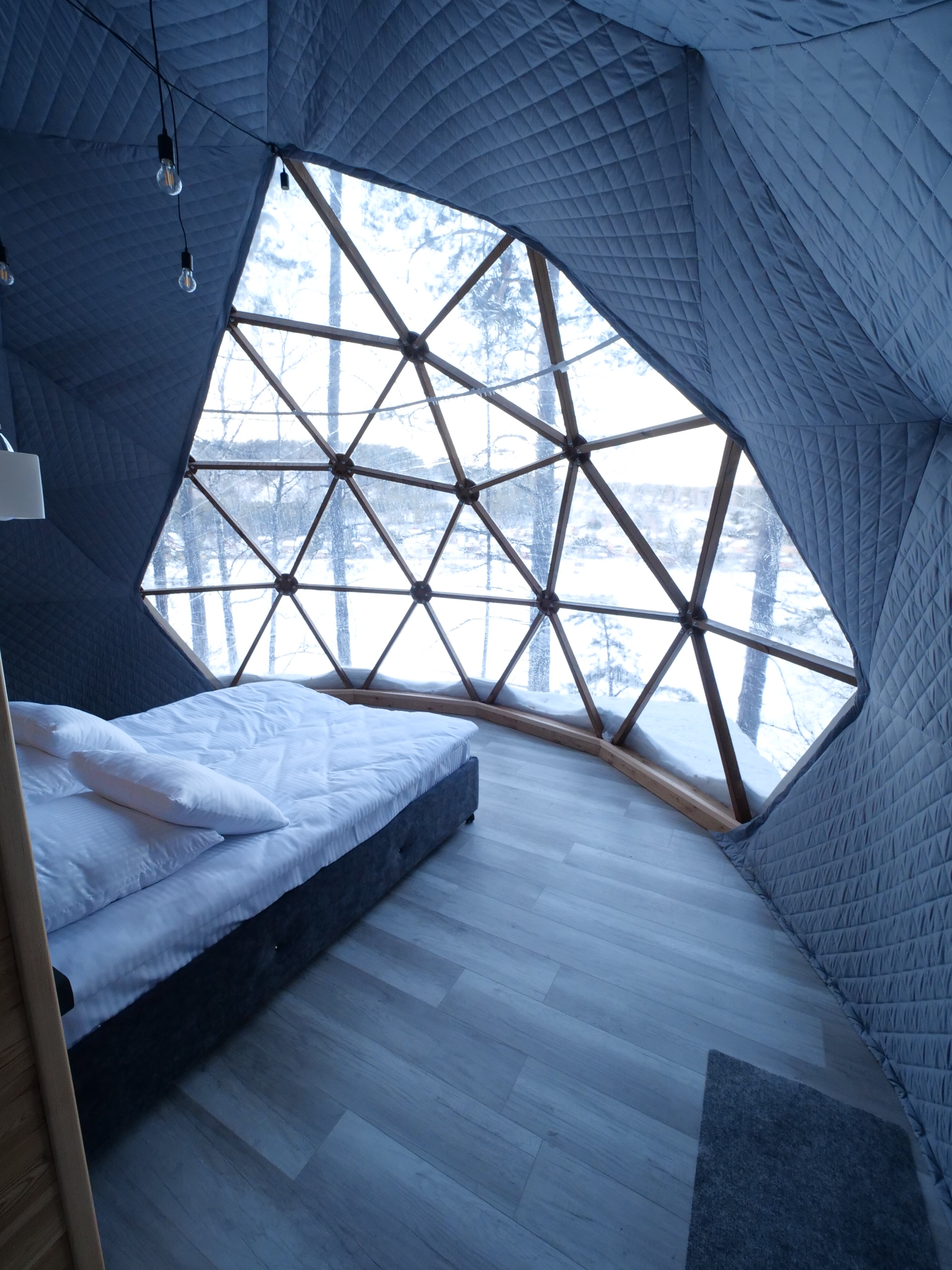 Фото Брусника