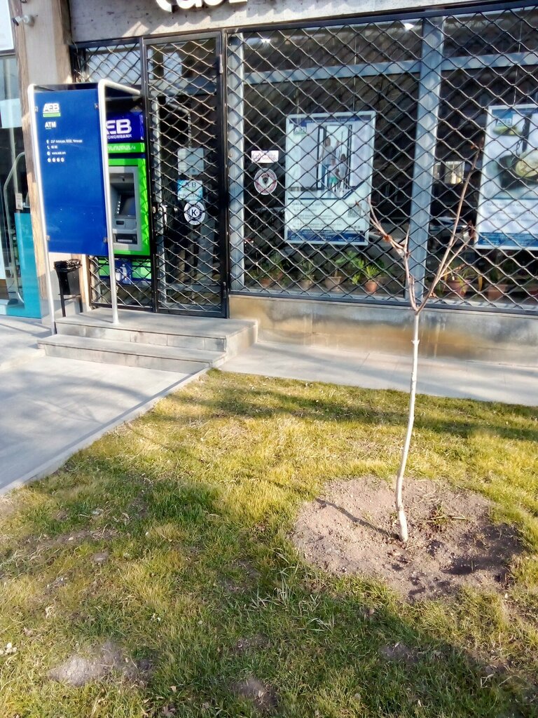 Payment terminal ArmeconomBank, Yerevan, photo