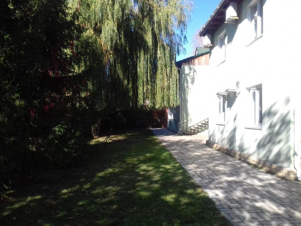 Фото Лукоморье