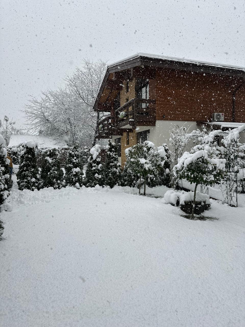 Фото Вилла Счастья