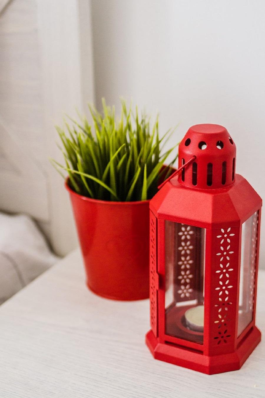 Фото Магнолия 2