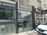 Askaya Construction (İstanbul, Esenyurt, Üçevler Mah., 939. Sok., 37D), real estate agency