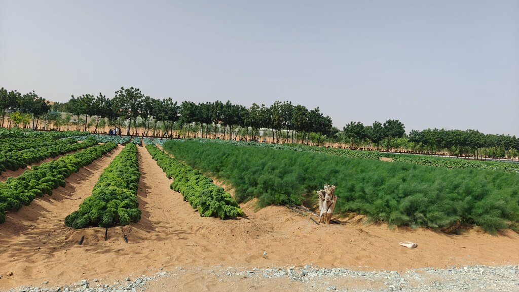 Zoo Emirates Bio Farm, Emirate of Abu Dhabi, photo