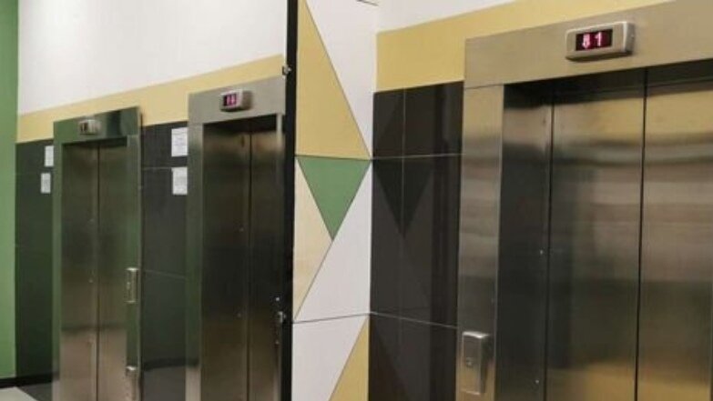 Фото Индиго