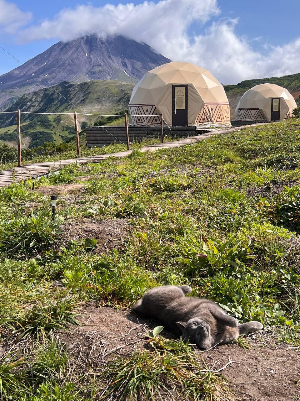 Фото Вилючик Кэмп