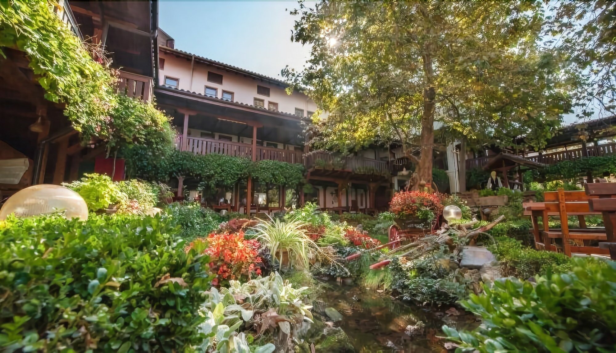 Фото Hotel Izvora