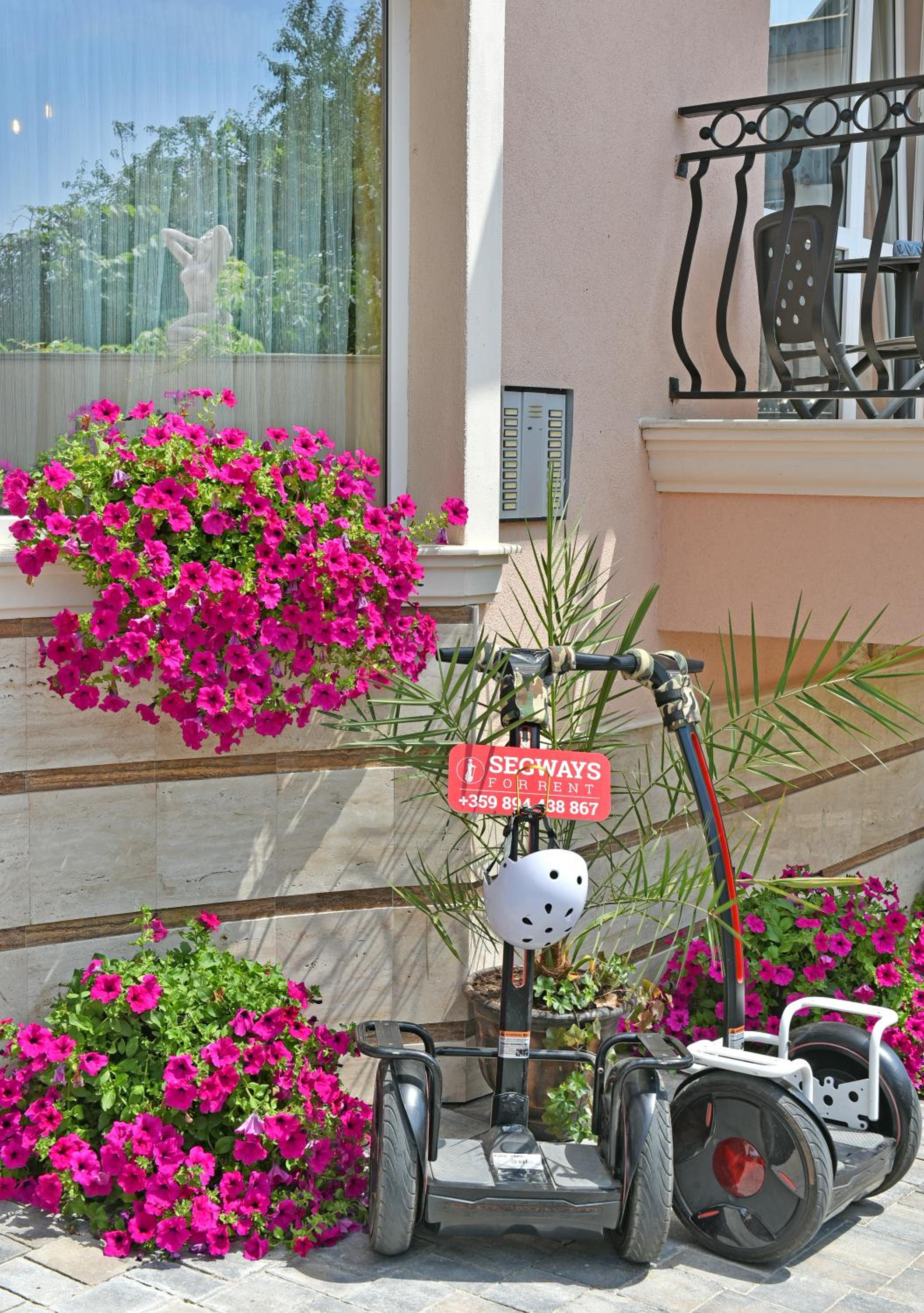 Фото Family Hotel Sirena Palace