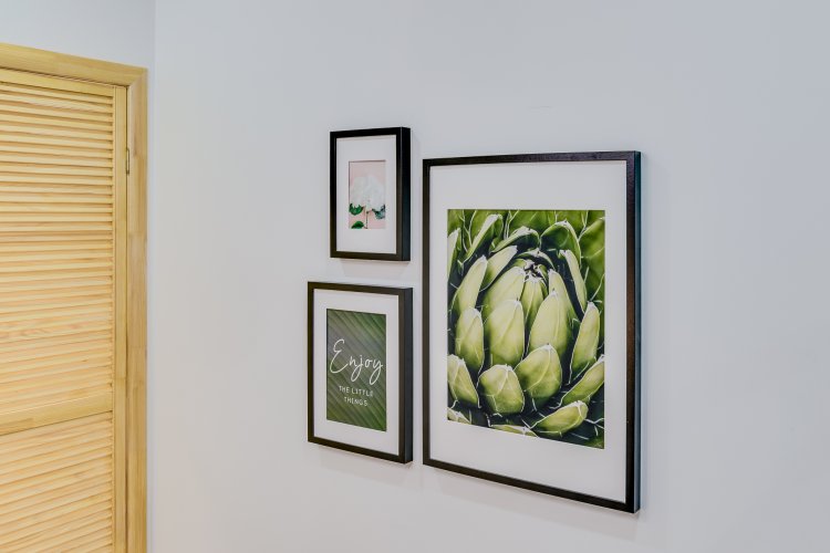 Фото Sokroma Джунгли