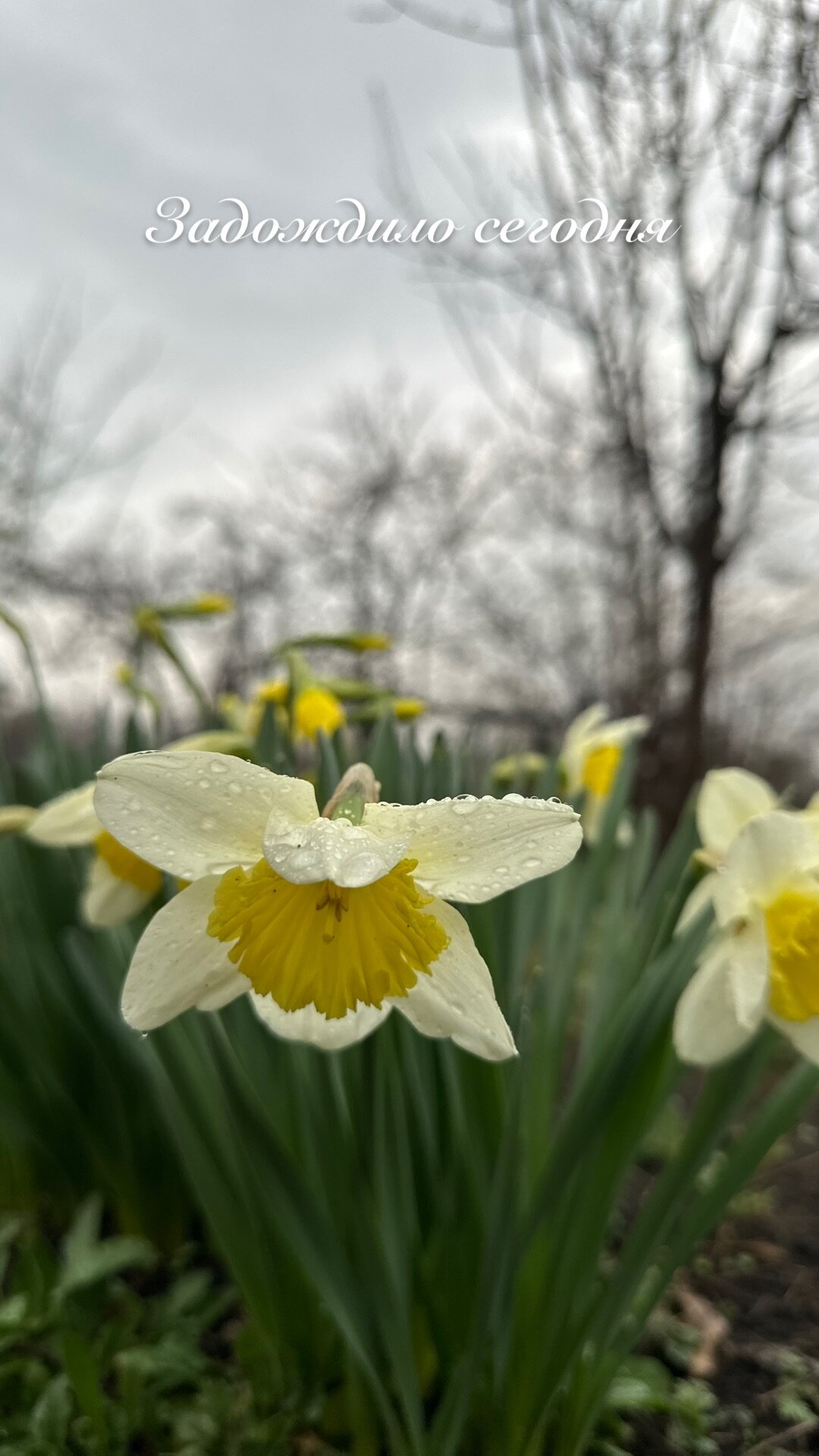 Фото Усадьба Асташко