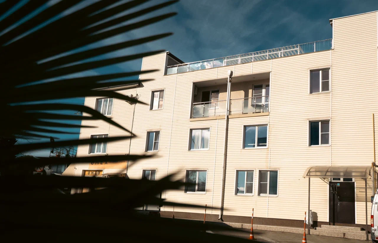 Фото Старый Лис