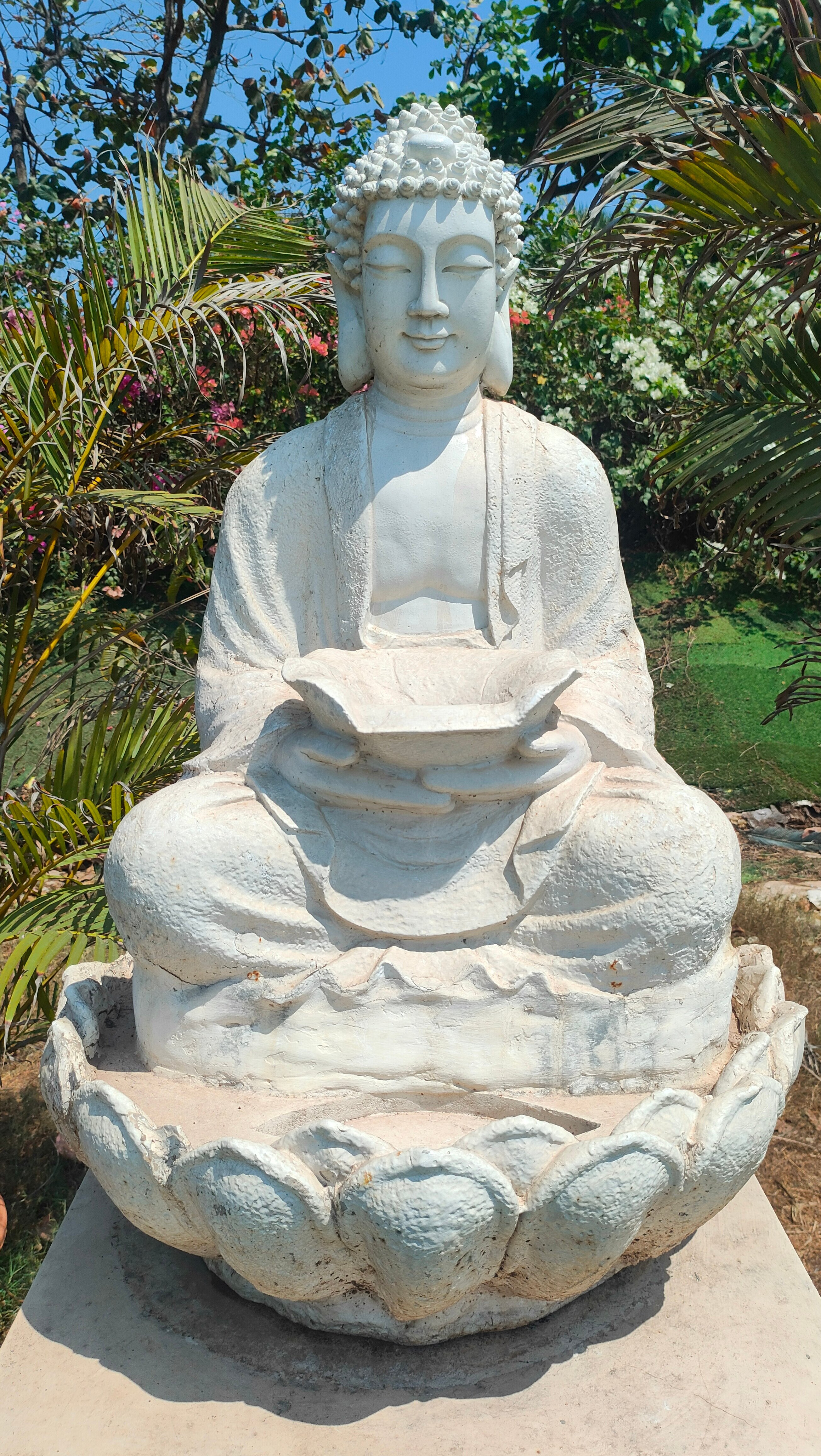 Фото Estrela Do Mar Beach Resort