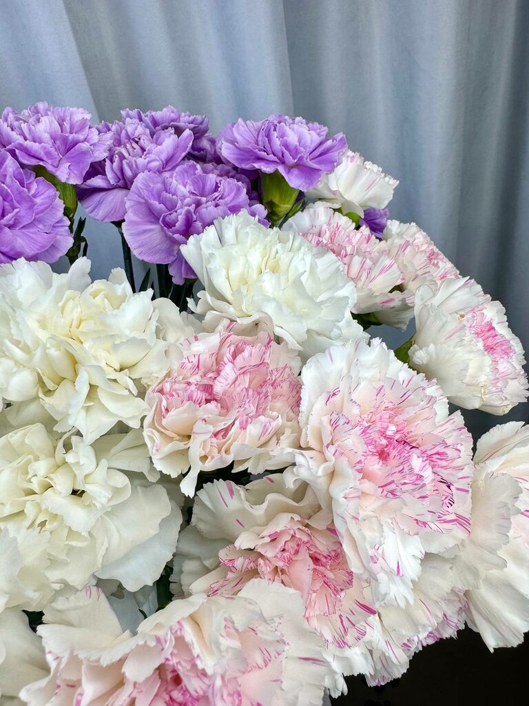 محل زهور Первый цветочный ، ، صورة