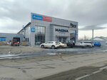 Авангард-Чита (Novozavodskaya Street, 23), lubricants
