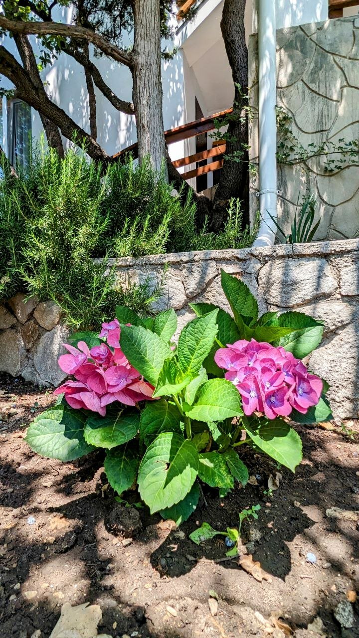 Фото Дача Фисташка