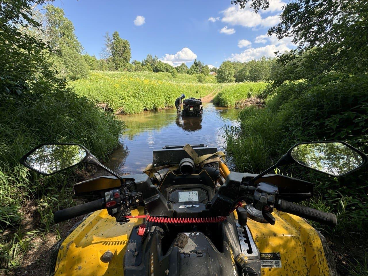 Фото Бэмби Лэнд