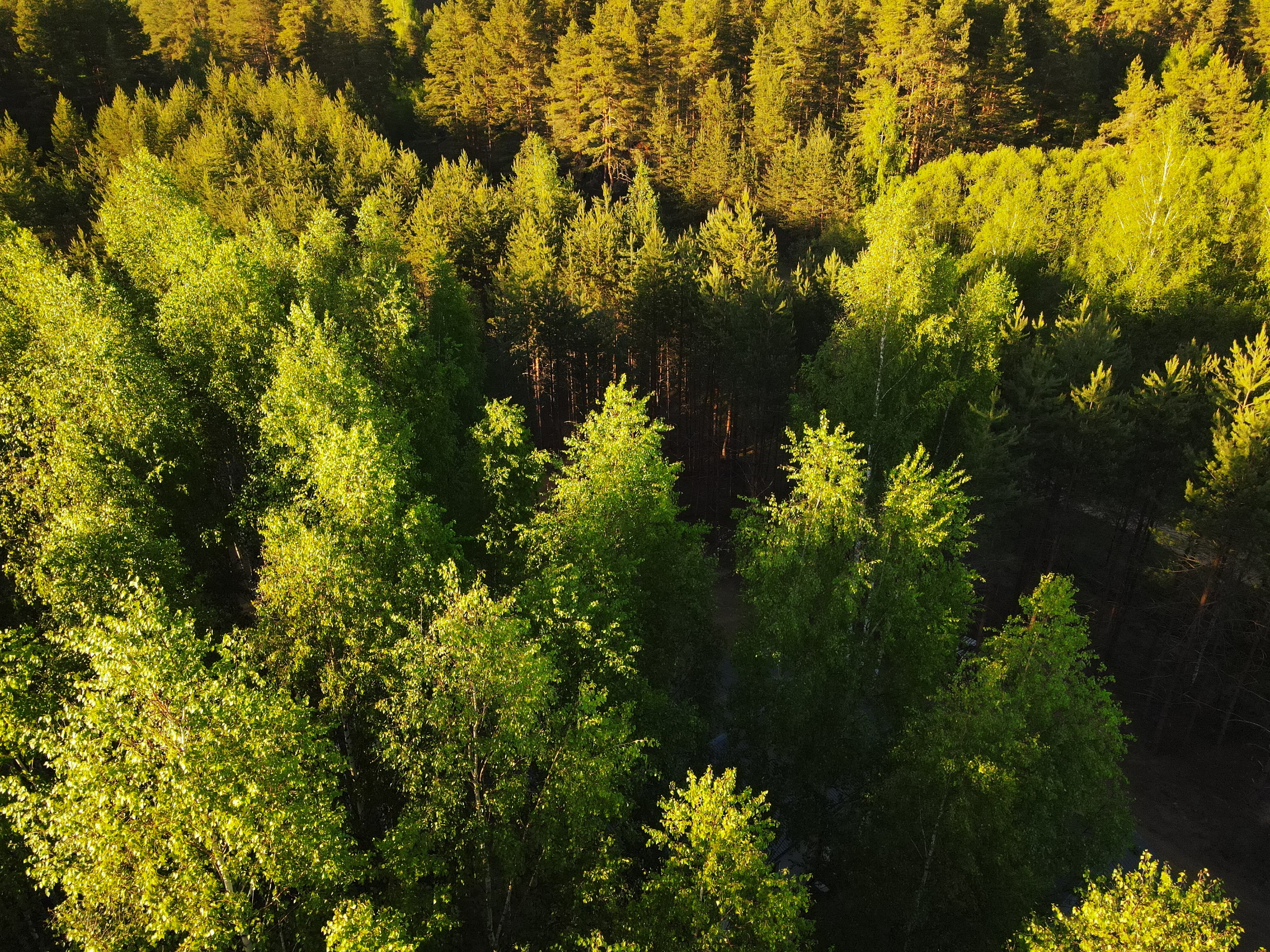 Фото Эко-усадьба Горностай