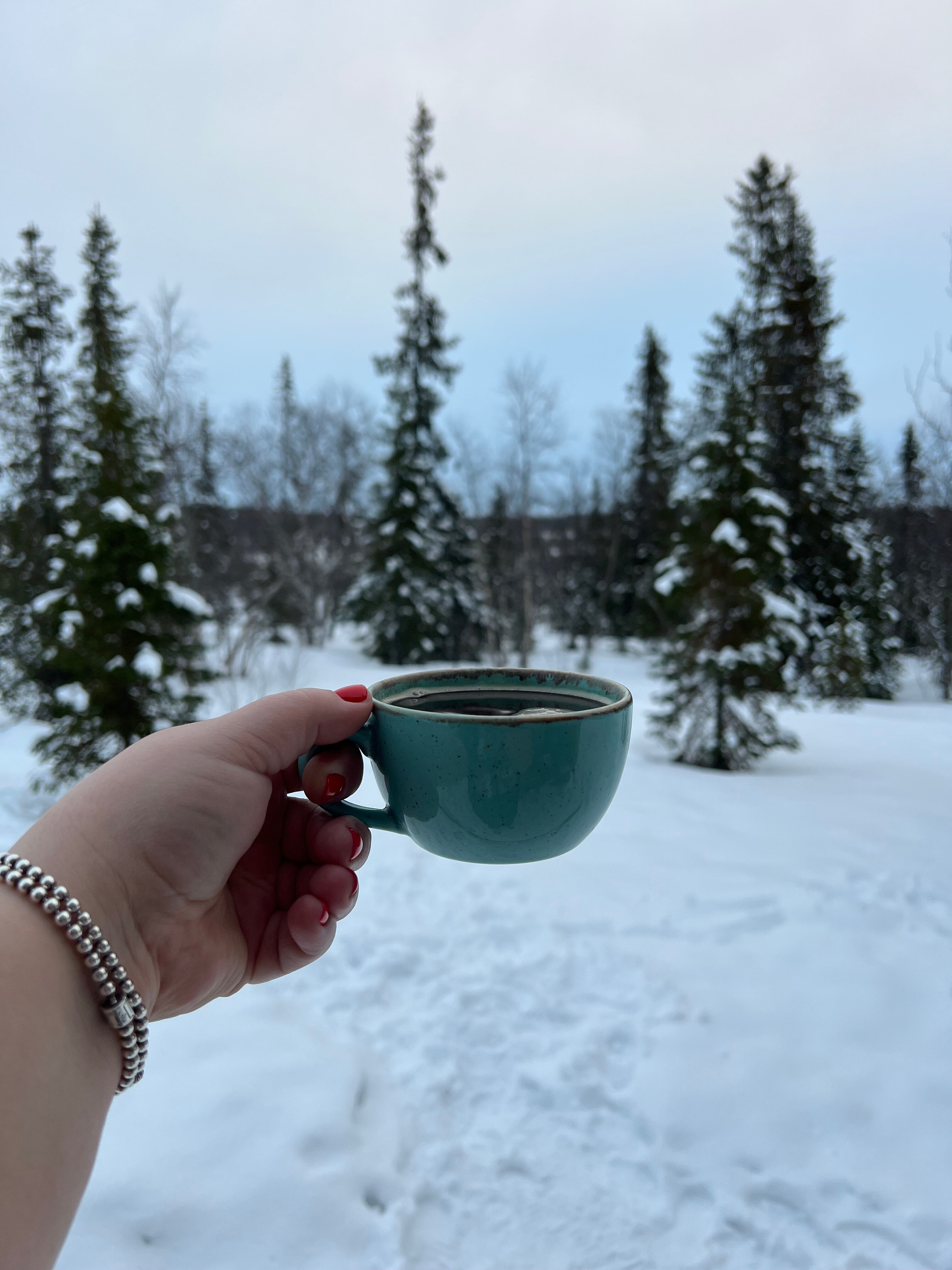 Фото Aurora Барнхаус