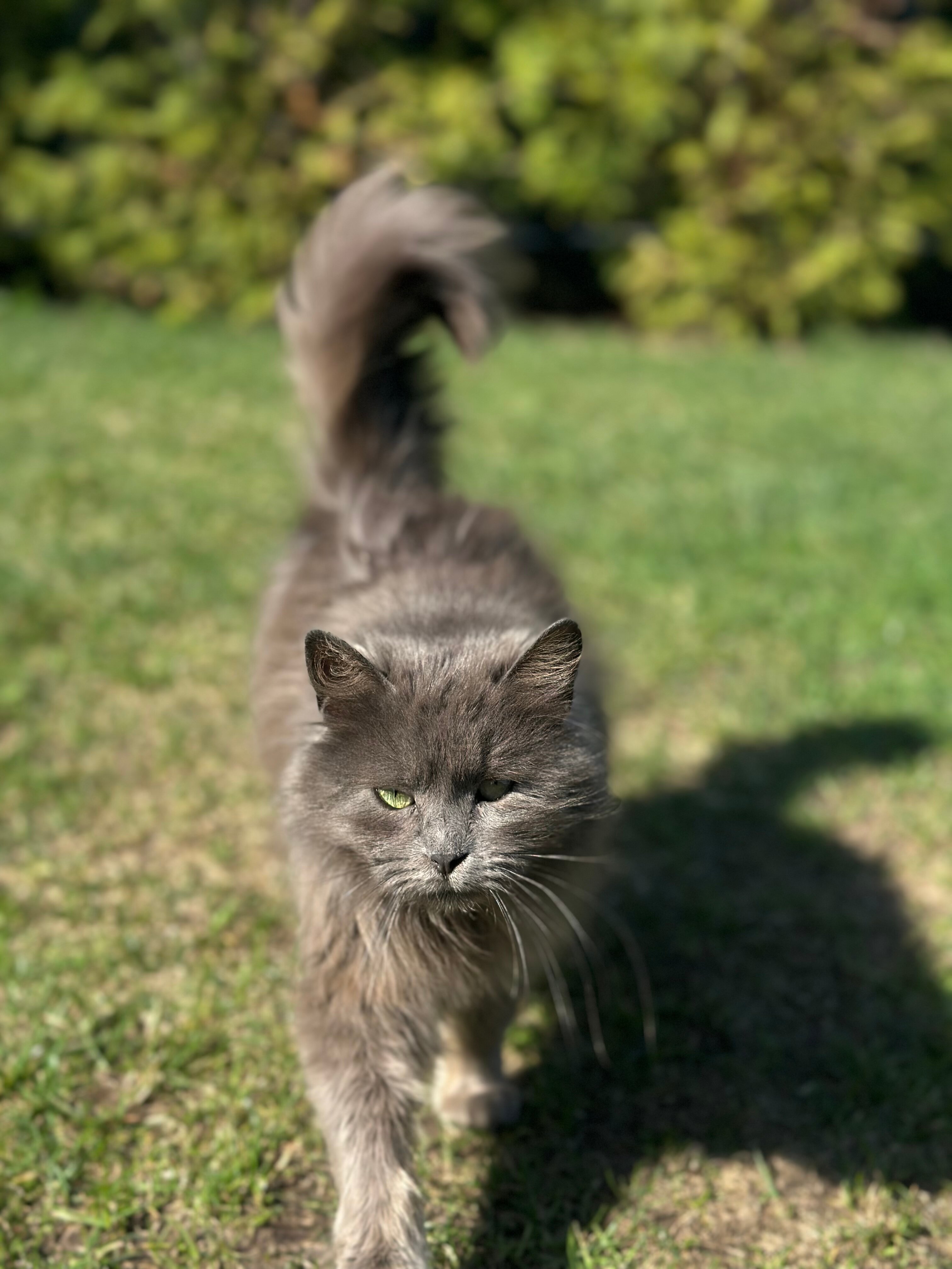 Фото Река Река