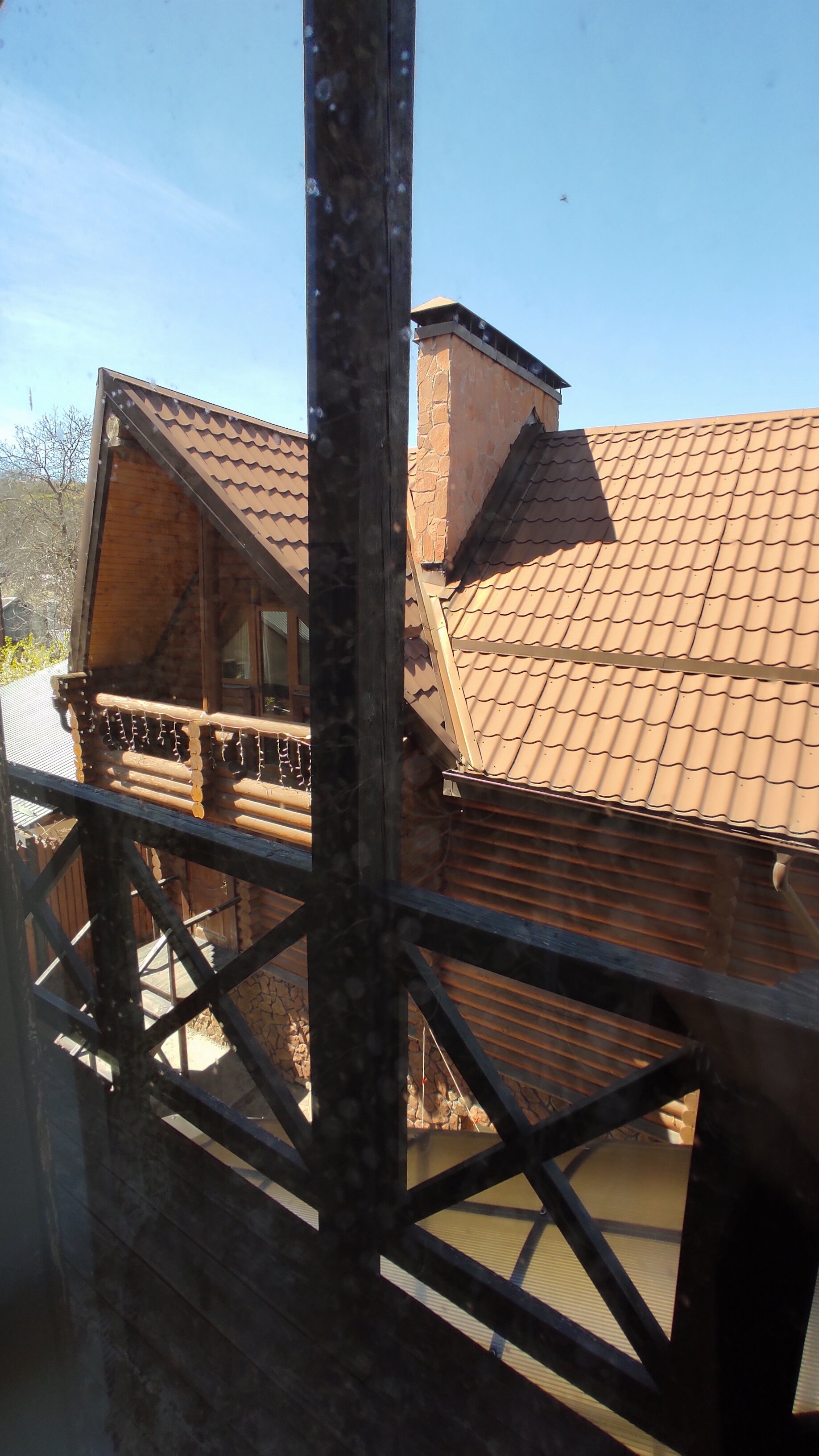 Фото Фортуна