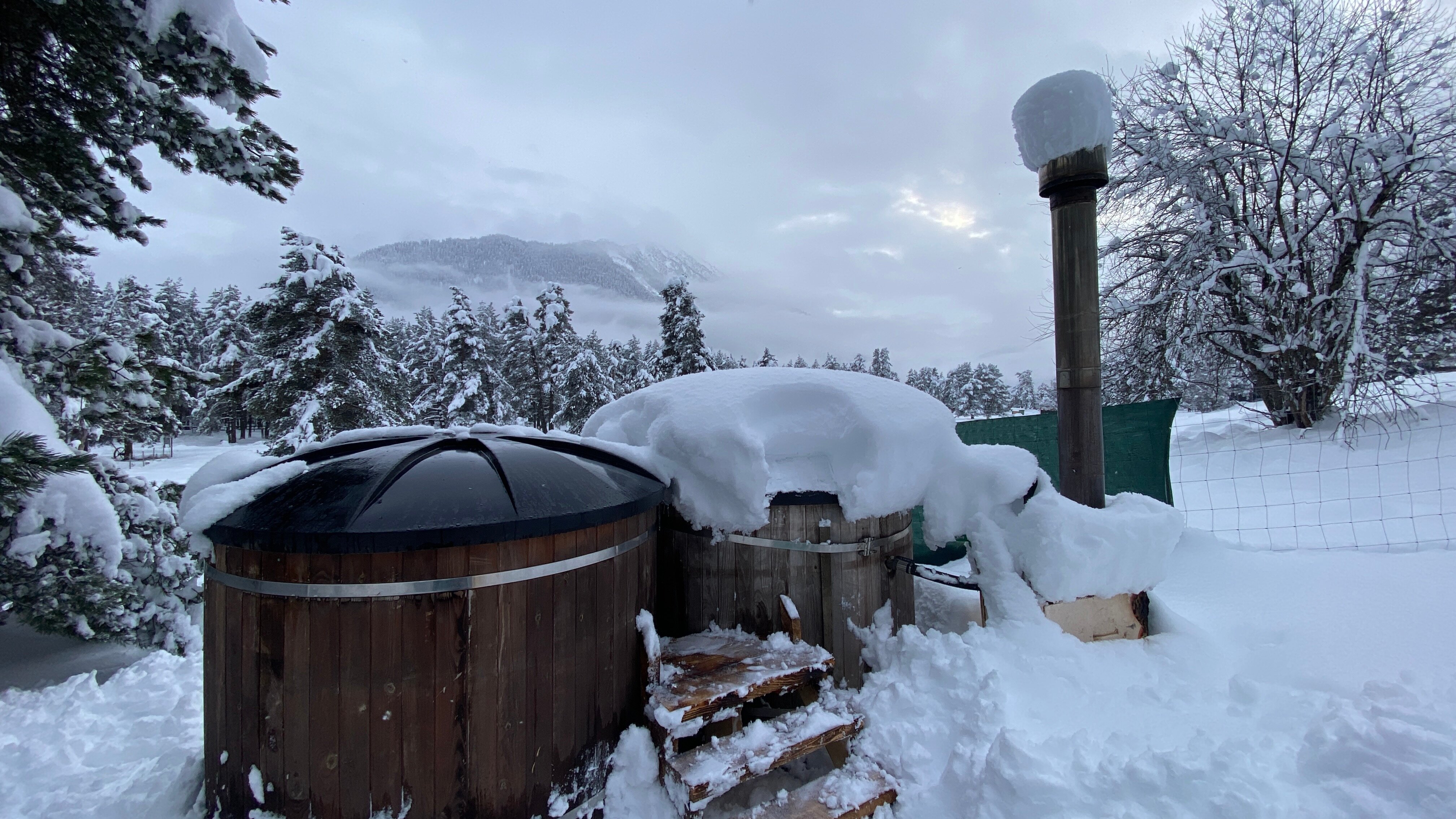 Фото Лесной кот